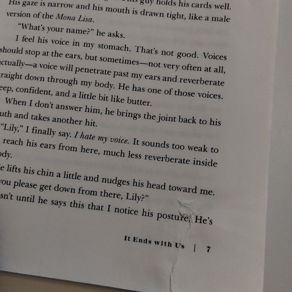 *5 for $20* Colleen Hoover It Ends With Us - Picture 4 of 5